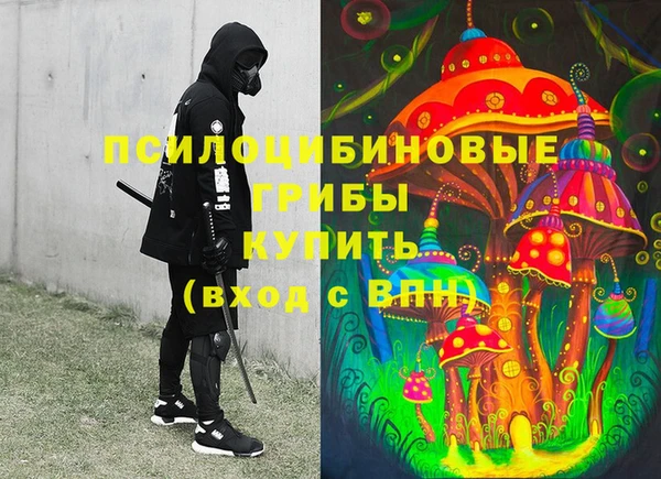 дживик Верея
