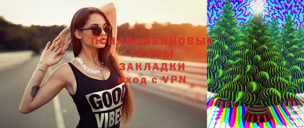 герыч Верхний Тагил