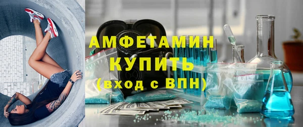 гидра Рославль