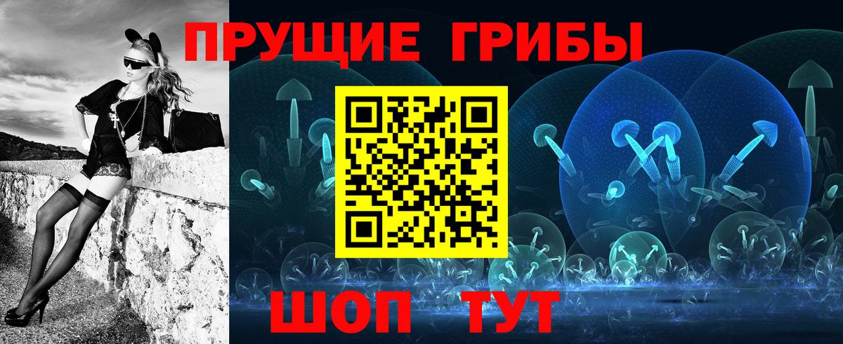 Брянск  Псилоцибиновые грибы прущие грибы  Вход с VPN 