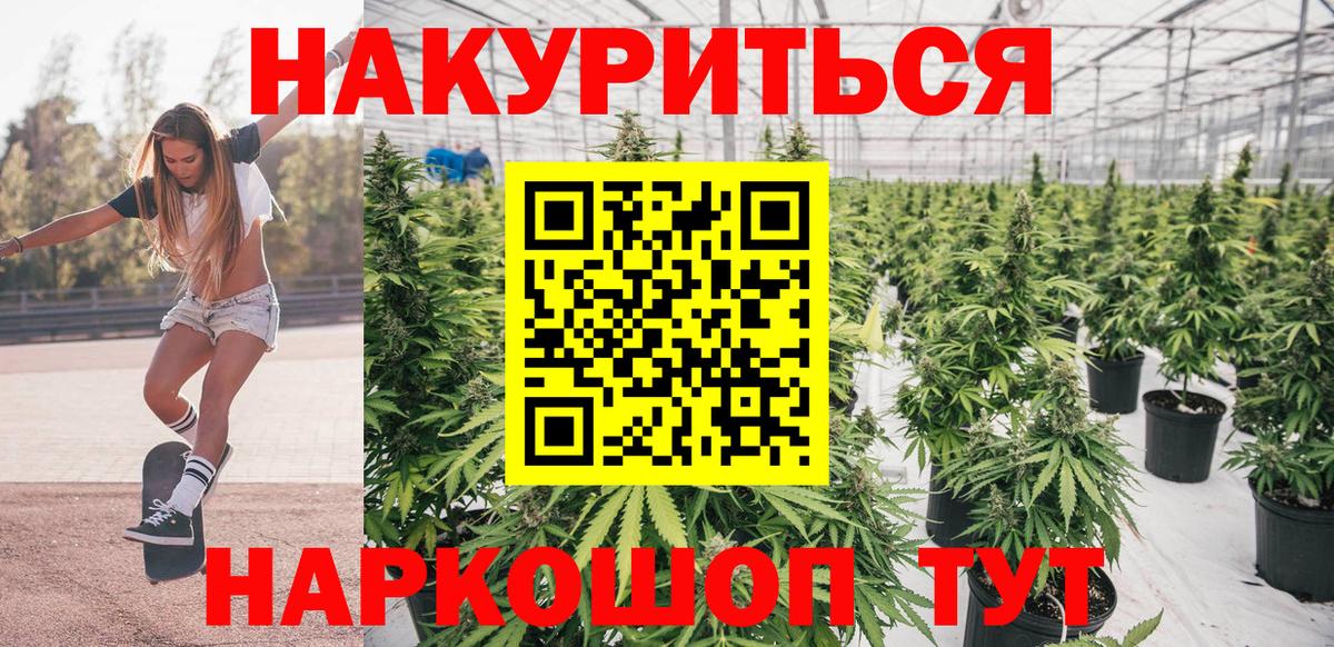 Канабис семена Брянск